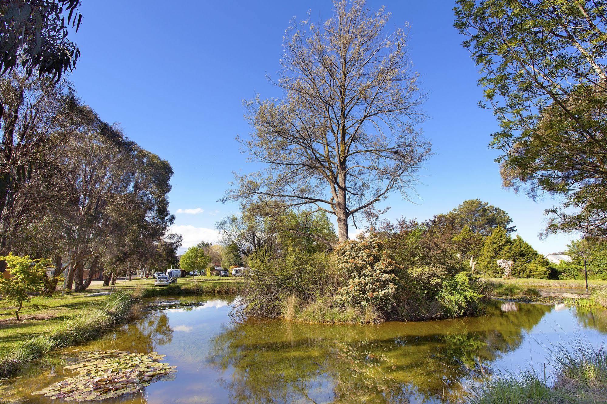 Hotel Armidale Tourist Park Esterno foto